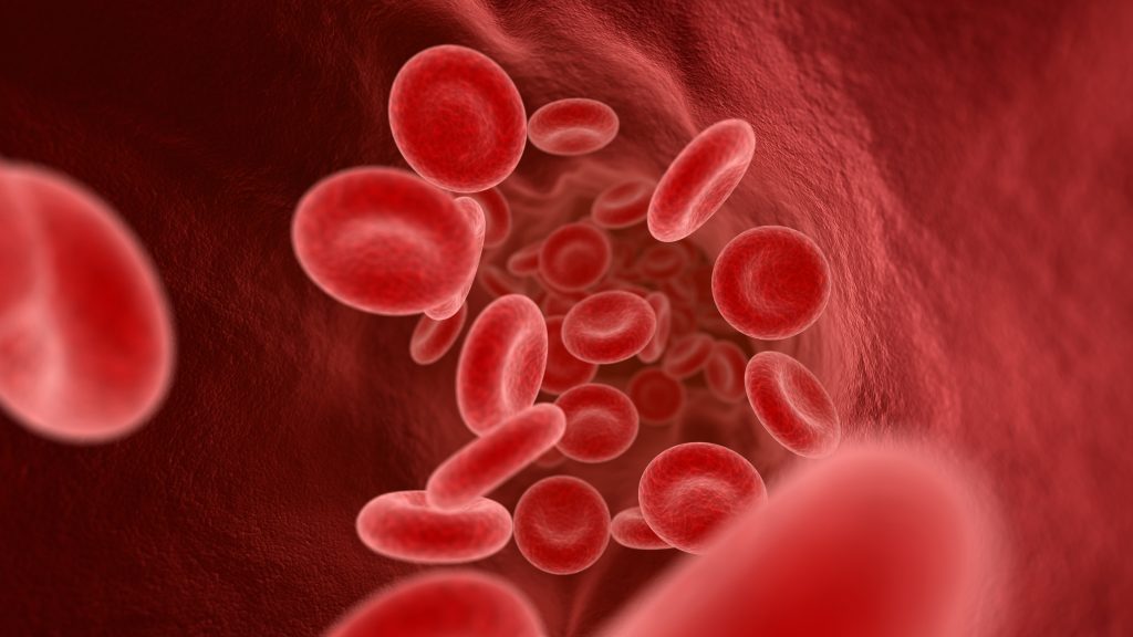 Hemofili illustrasjonsbilde av blodceller i blodåre.
