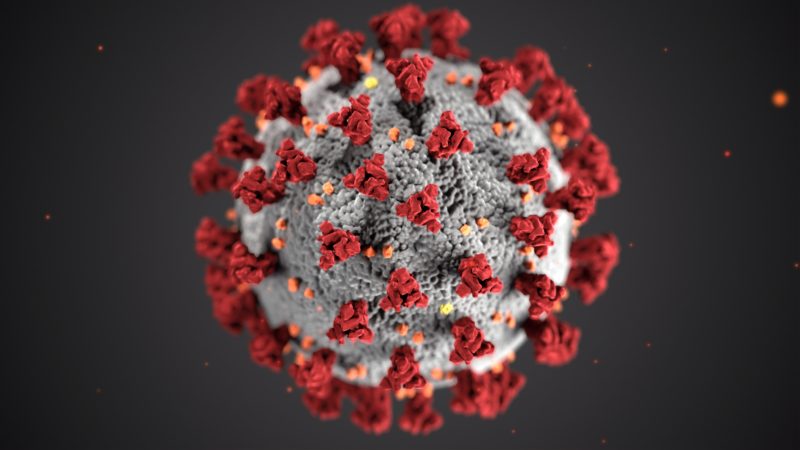 Spørsmål og svar om koronaviruset